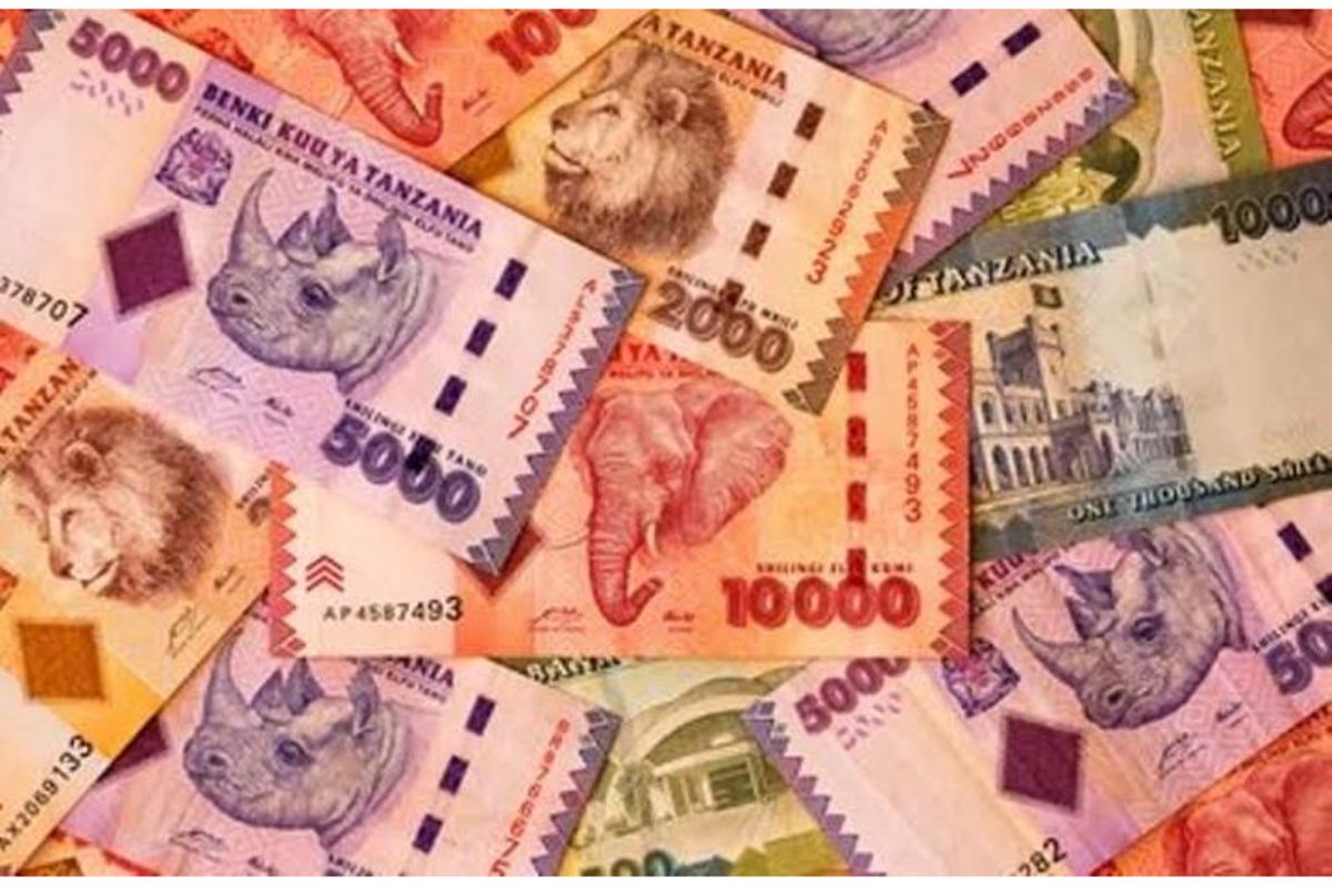 Image d'illustration pour: Why Tanzanian shilling is among East Africa's best-performing currencies
