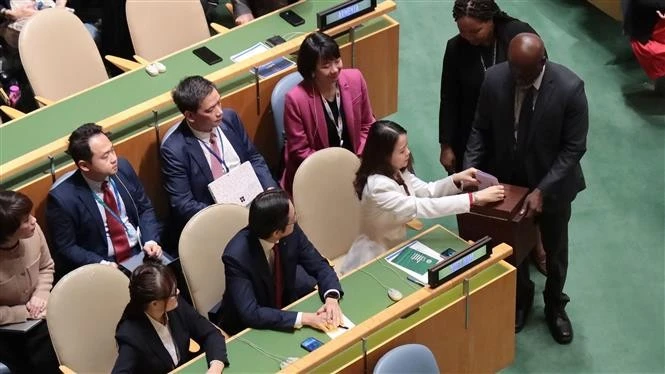 Image d'illustration pour: Vietnam re-elected to UN Human Rights Council for 2026-2028 term