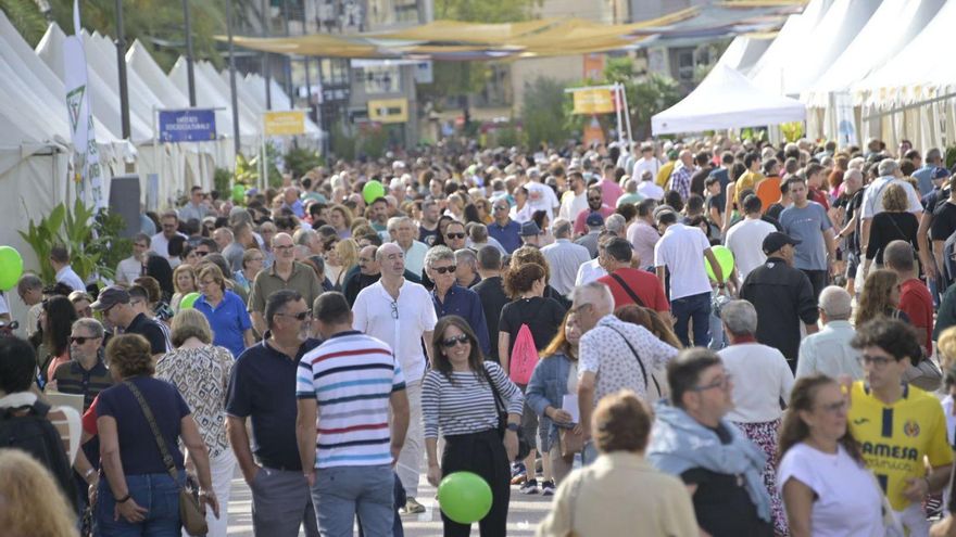 Image d'illustration pour: Tiempos de ferias, jotas, celebraciones y de sustos
