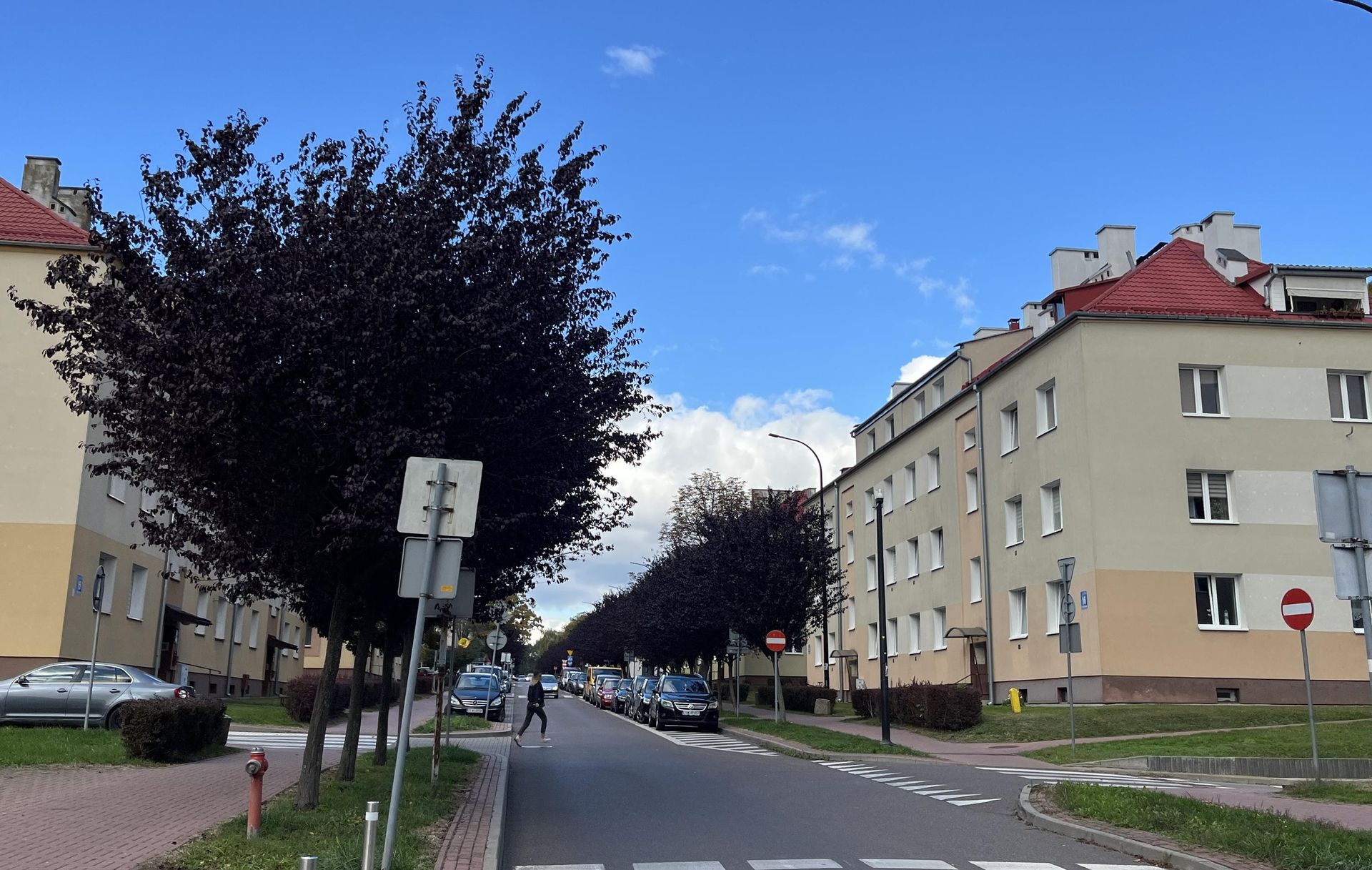 Image d'illustration pour: Tak wyglądało idealne miasto PRL. Perła socrealizmu, która miała być wzorem dla innych