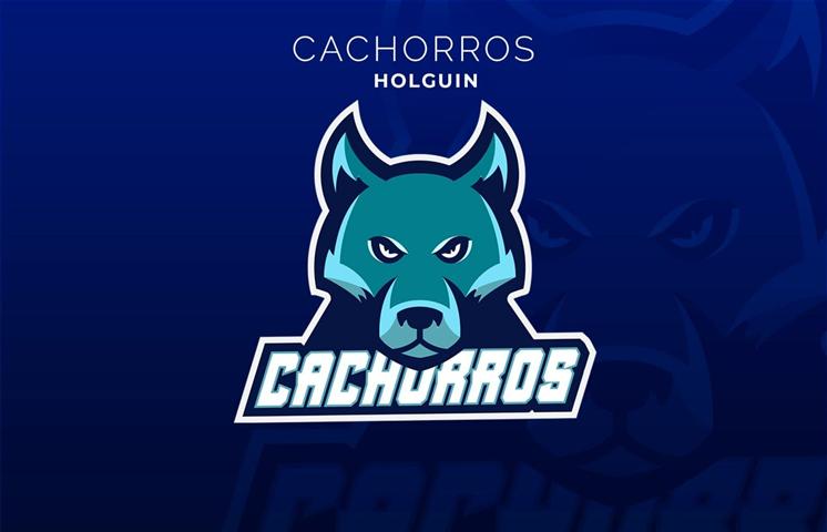 Image d'illustration pour: Holguín defiende su lugar entre los grandes en serie beisbolera - Noticias Prensa Latina