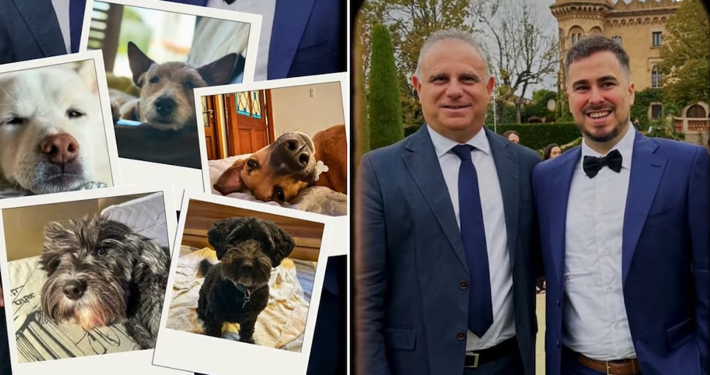 Image d'illustration pour: Histórico: una pareja se casará con sus perros como testigos de honor en Mendoza