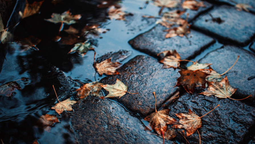 Image d'illustration pour: Alerte météo: Pluies orageuses et fortes précipitations attendues dès ce soir - Tunisie numerique