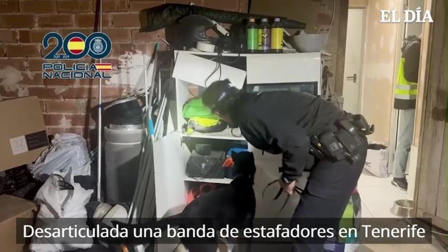 Image d'illustration pour: Gran operación antifraude en Canarias: 115 víctimas y más de 1,1 millones estafados