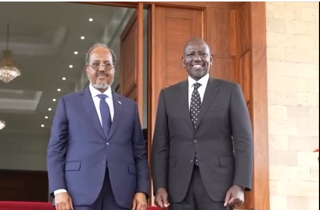 Image d'illustration pour: Somali President meets Kenyan counterpart Ruto in Nairobi during condolence visit